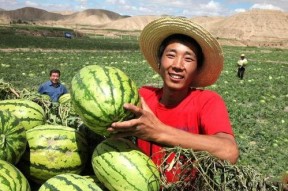 江西太晚娱乐陪你吃瓜